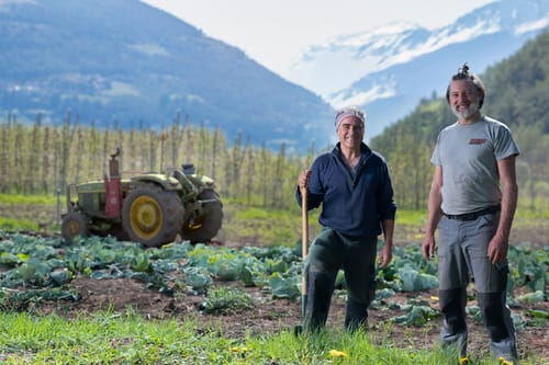 vinterra in Mals: Where Social Responsibility Meets Sustainable Farming